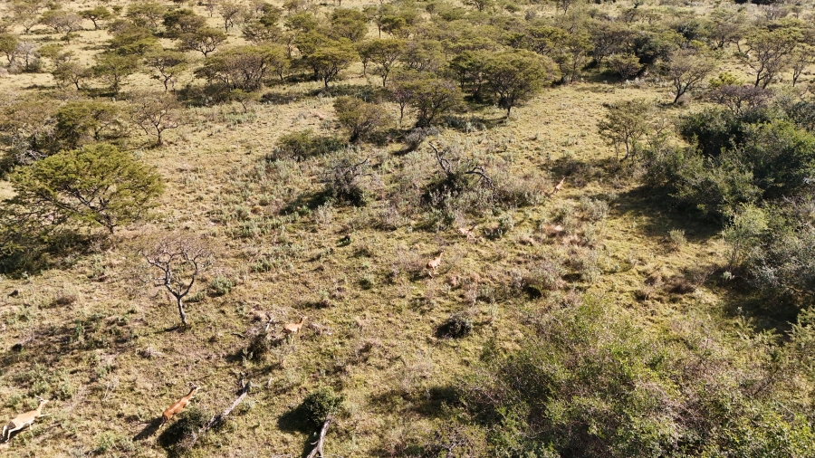 Commercial Property for Sale in Kei Road Eastern Cape